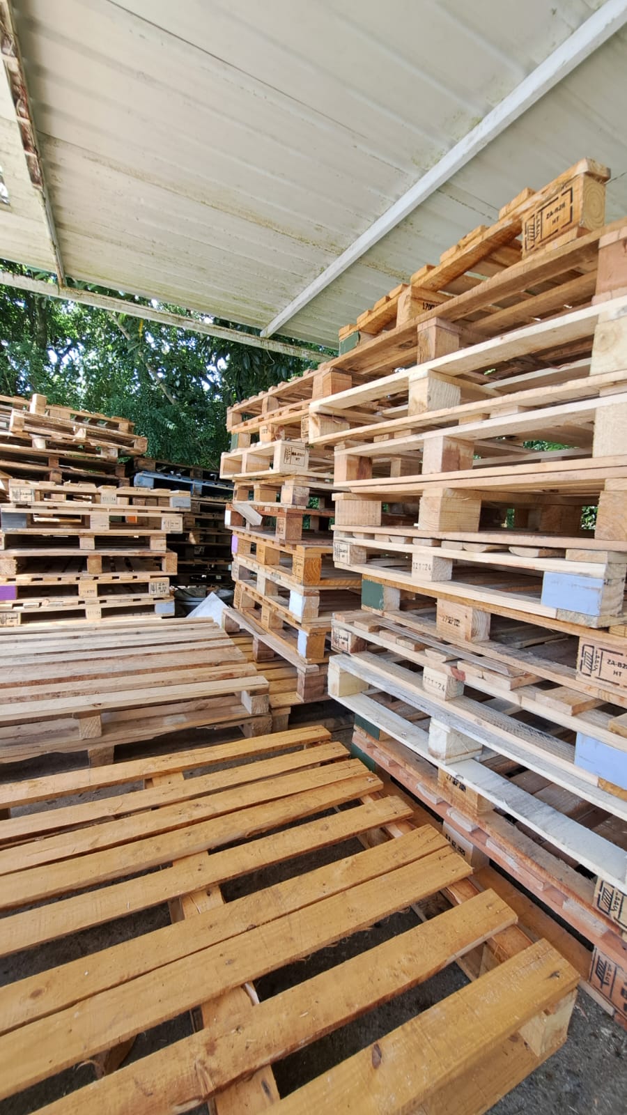 Pallet Supplier in Mauritius | PALLET.MU – Pallet.mu